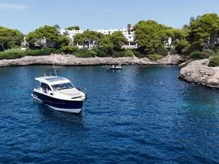 Sealine C390 usato - foto 1