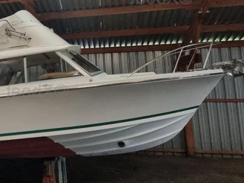 Bertram RIVA BERTRAM 25 SPORT FISHERMAN used - photo 1