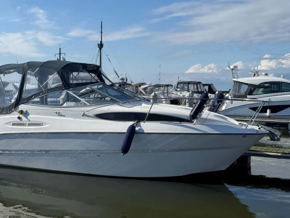 Bayliner 245 gebraucht - Foto 1