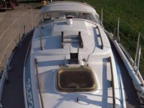 Neptun 31 usato - foto 1
