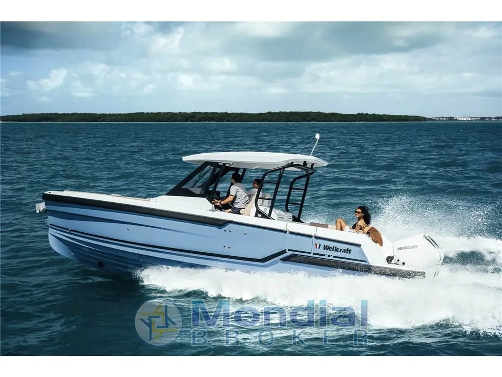 Wellcraft 28 T-TOP gebraucht - Foto 1