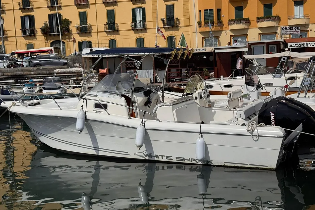 White Shark 268 d'occasion - photo 1