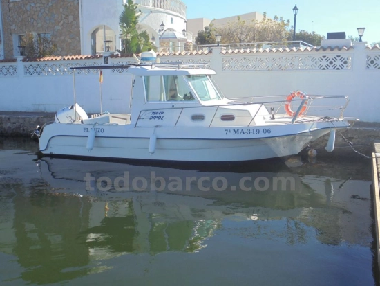 Dipol Glass 750 Cp used - photo 1