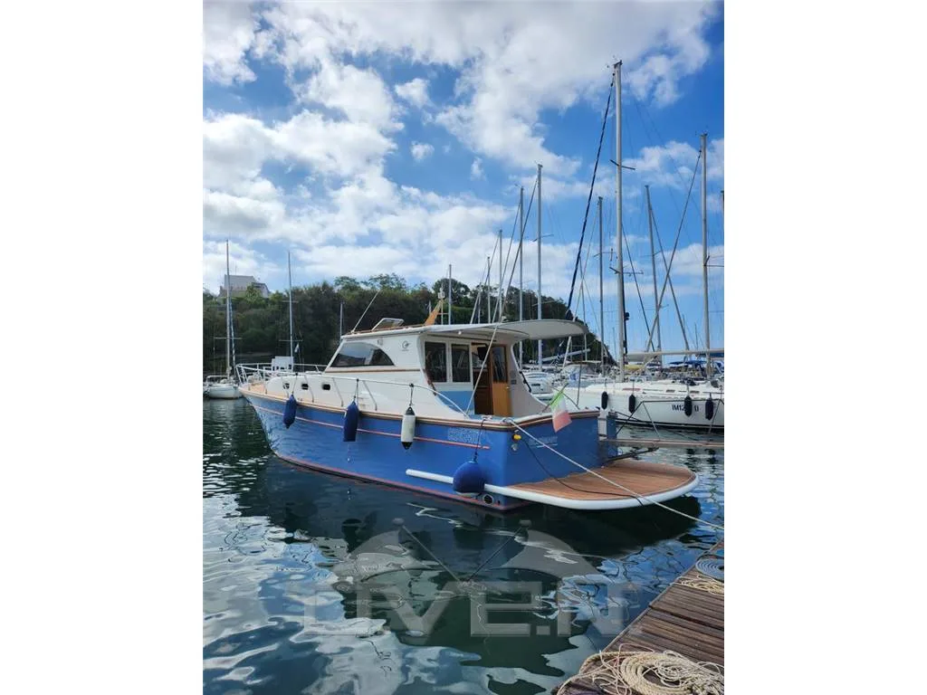 Cantieri Estensi Goldstar 440c used - photo 1