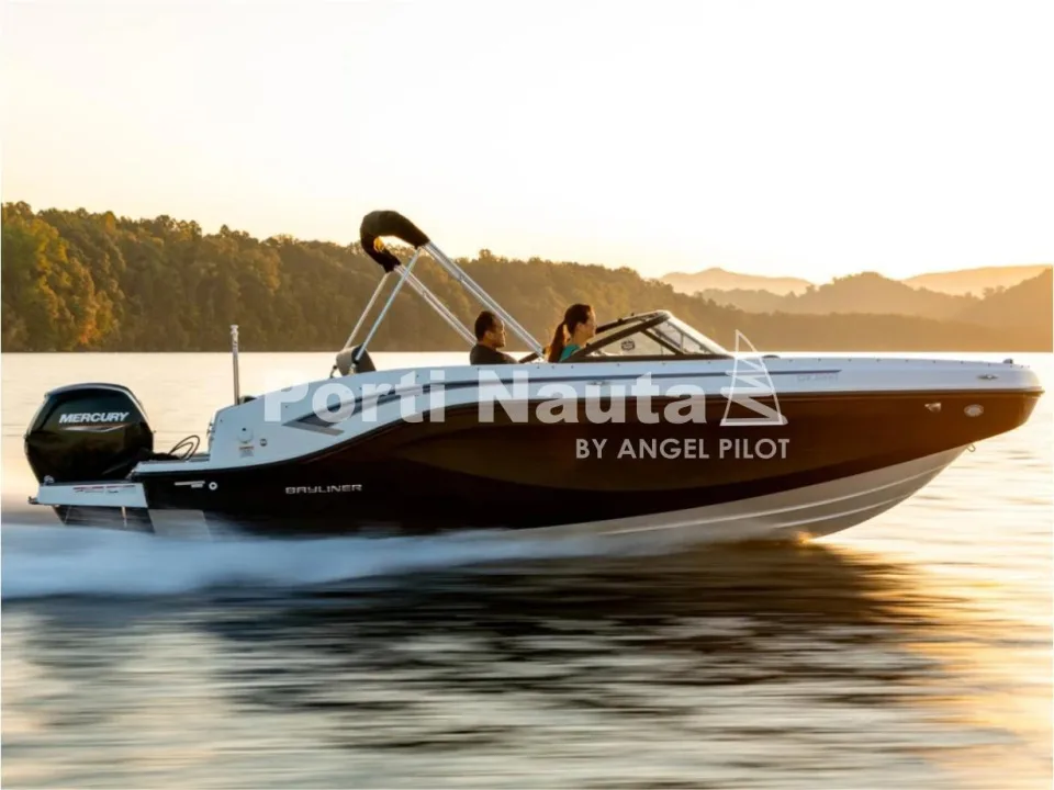Bayliner Deck Boat DX 2000 OB d'occasion - photo 1