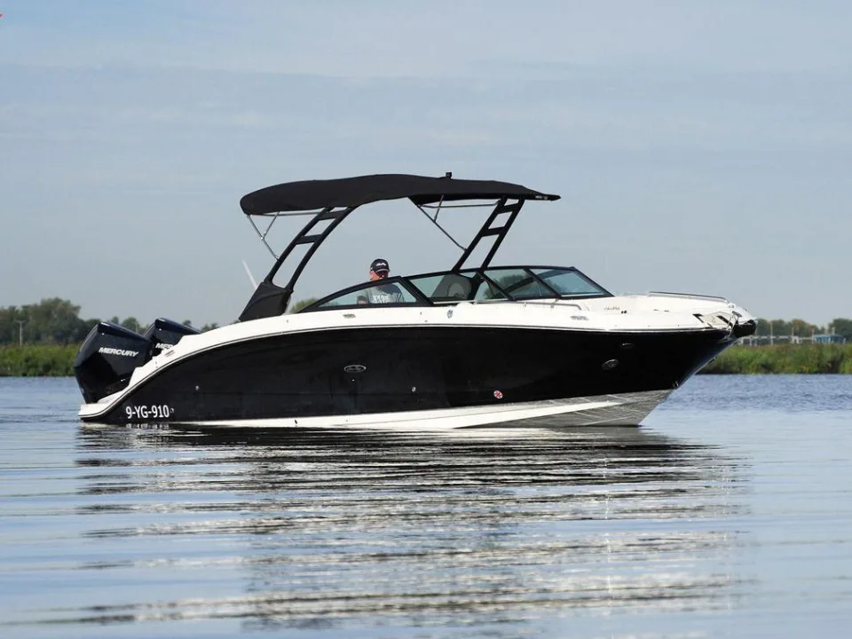 Sea Ray SDX 290 Outboard gebraucht - Foto 1