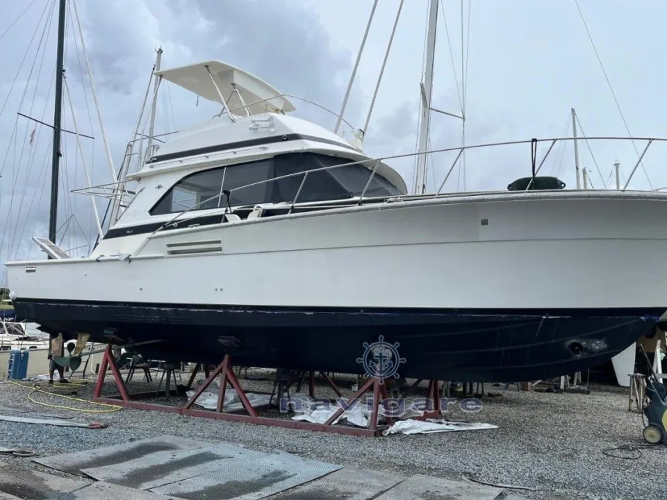Bertram Yacht 46.6 Convertible d'occasion - photo 1