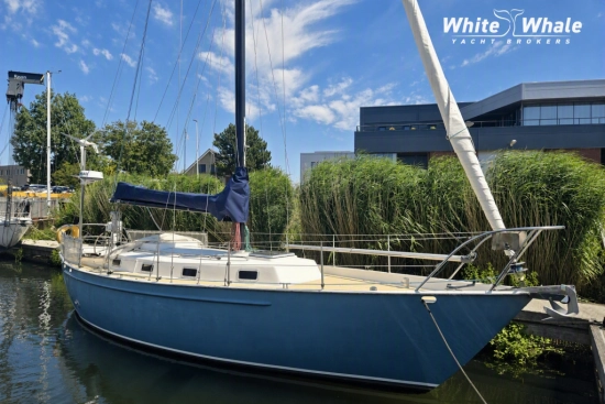 Koopmans 33 used - photo 1