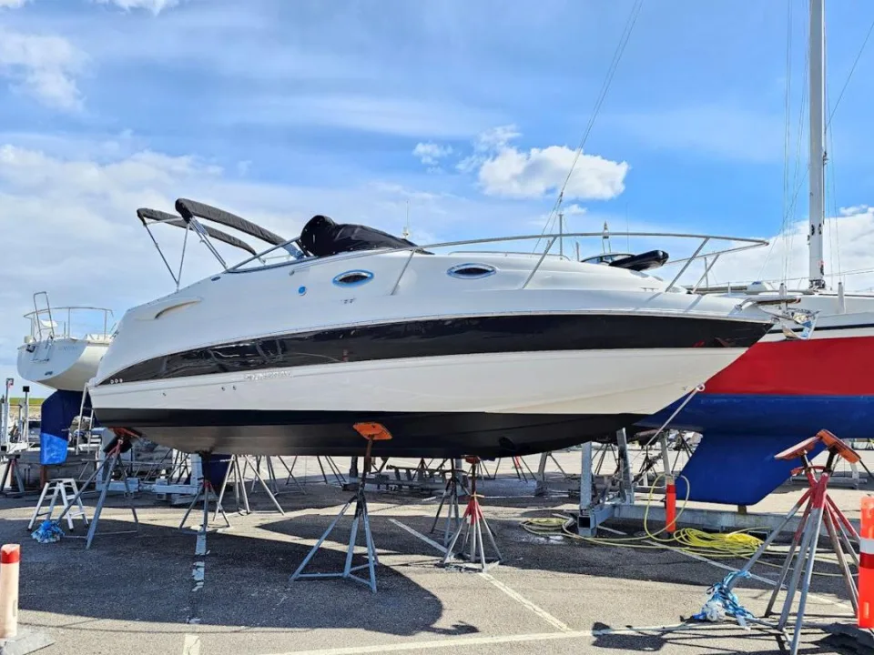 Stingray 250 used - photo 1