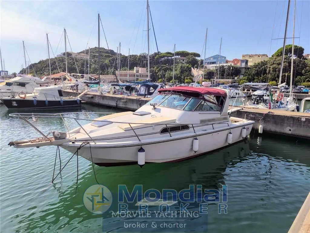 Boston whaler 31 used - photo 1