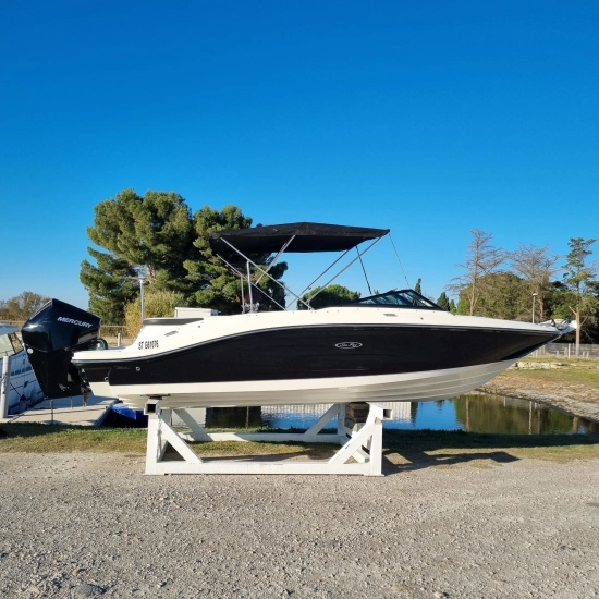 Sea Ray SPX 210 Ob gebraucht - Foto 1