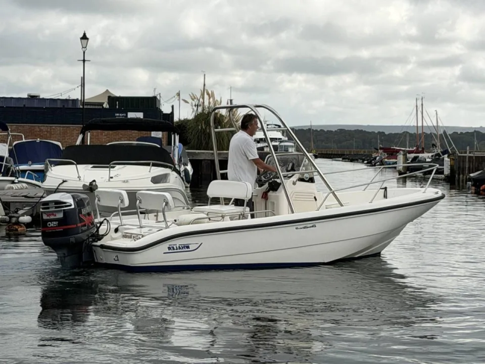 Boston Whaler Dauntless 18 used - photo 1