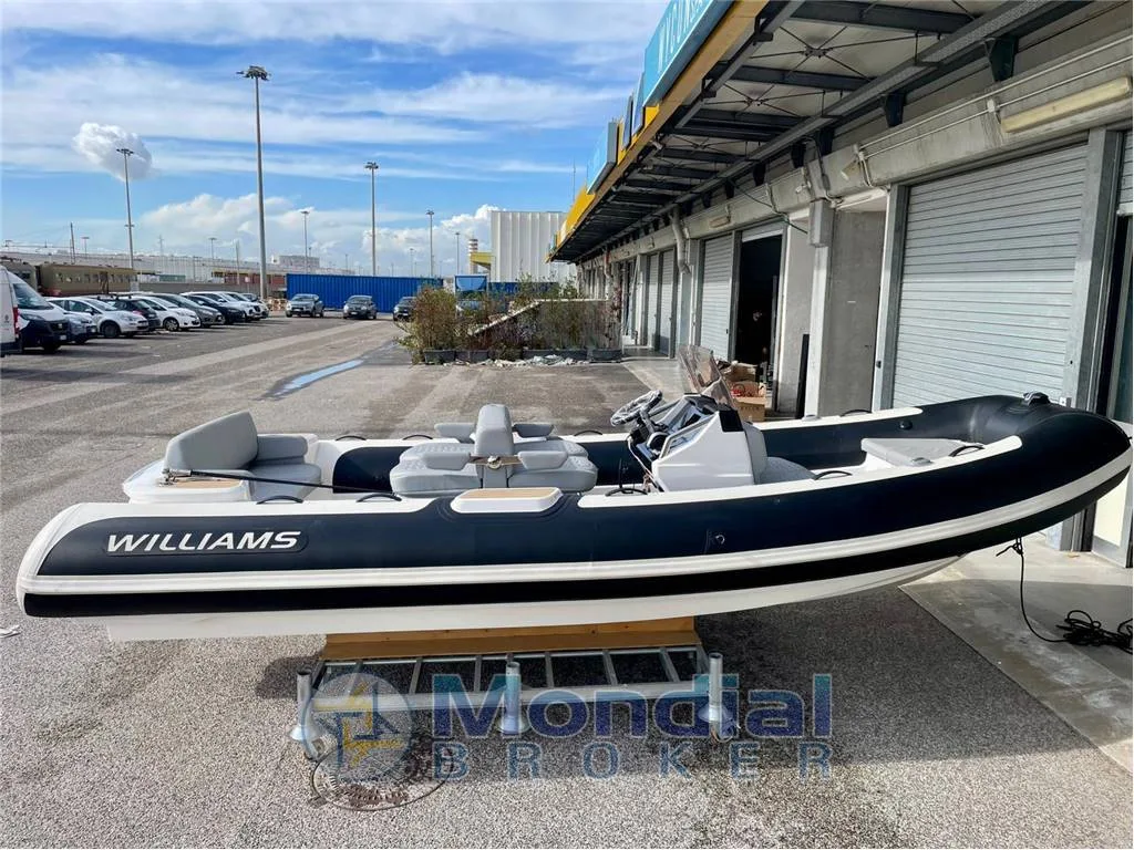 Williams DieselJet 565 d'occasion - photo 1