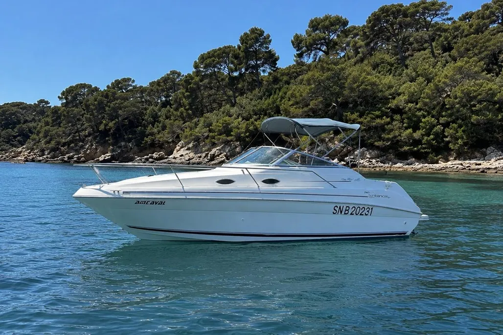 Sea Ray 240 Sundancer usato - foto 1
