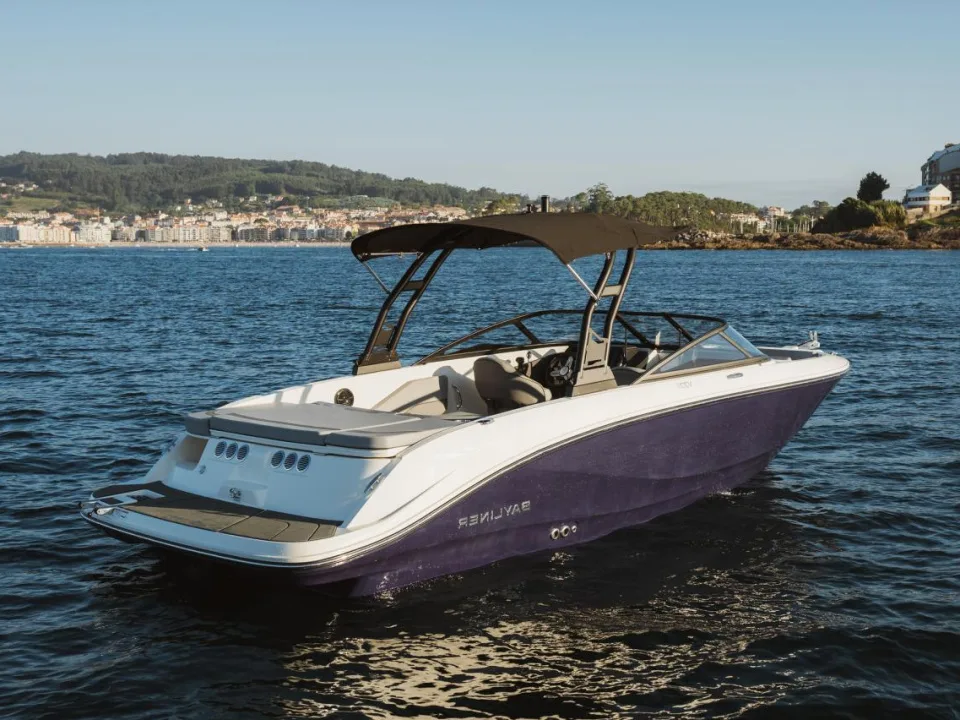 Bayliner V22i usato - foto 1