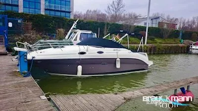 Sea Ray 255 Sundancer d'occasion - photo 1