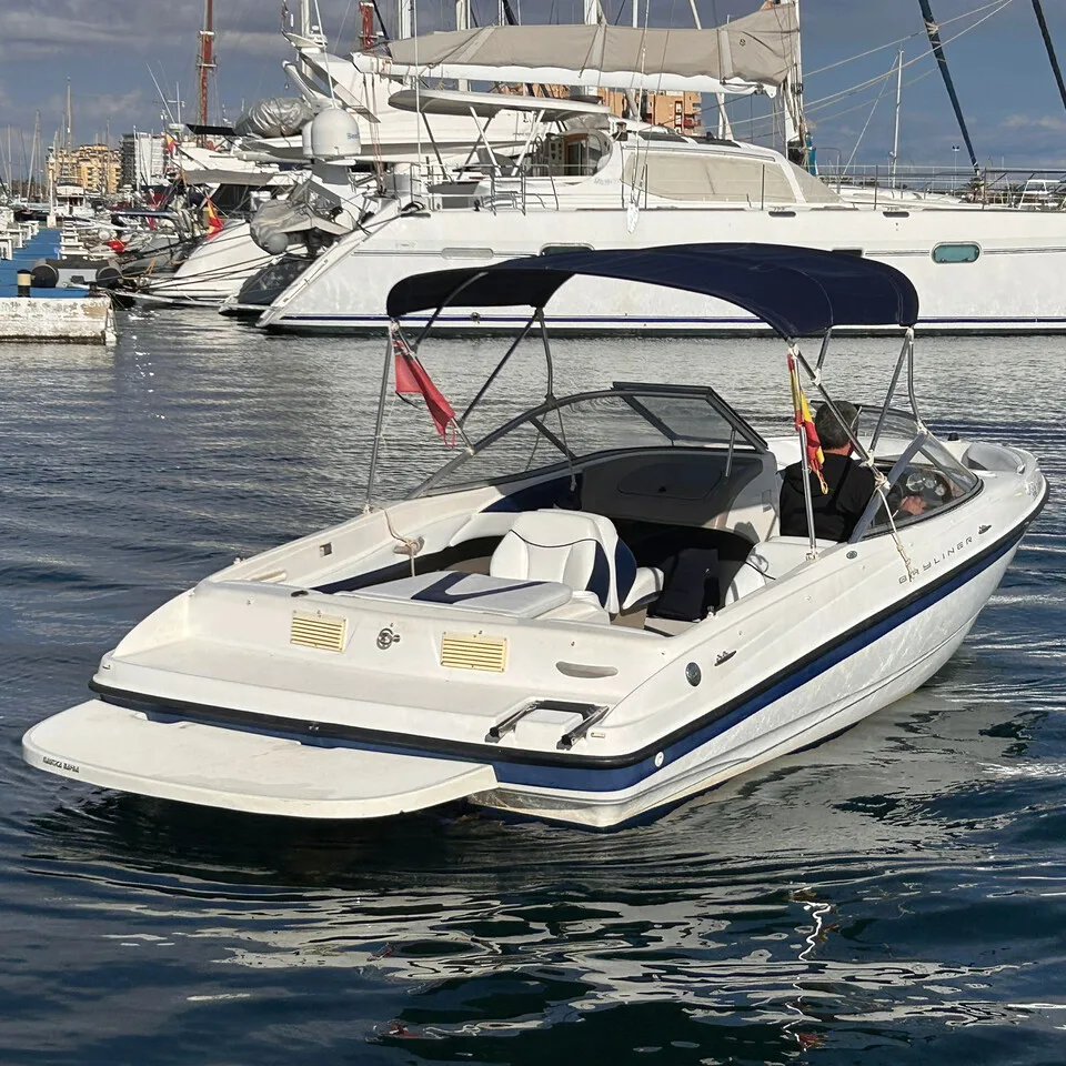 Bayliner 205 gebraucht - Foto 1