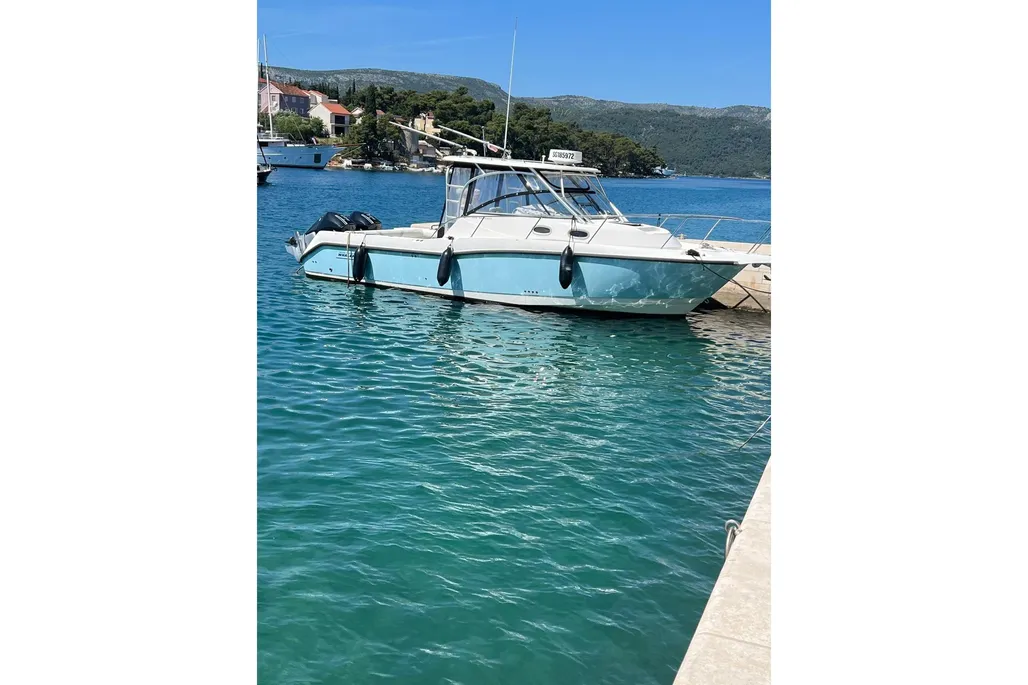 Boston Whaler 305 Conquest used - photo 1