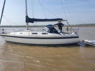 Westerly Fulmar 1980 Twin keel version gebraucht - Foto 1 Westerly Fulmar 1980 Twin keel version gebraucht - Foto 1