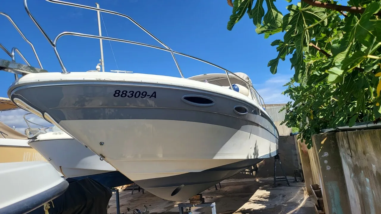 Sea Ray 31 SS gebraucht - Foto 1