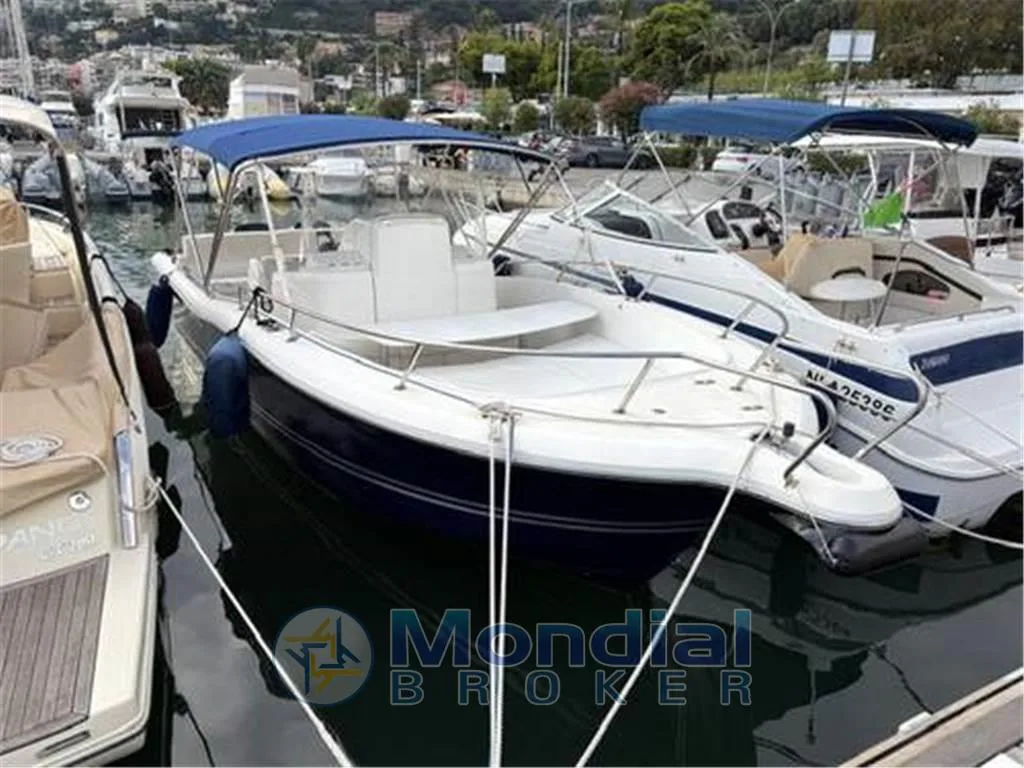 White shark 265 d'occasion - photo 1