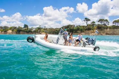 Sealegs 7.1M SPORT RIB used - photo 1