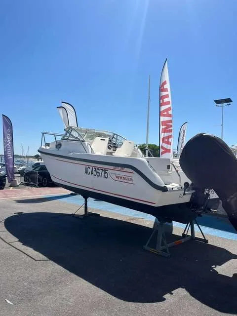 Boston Whaler CONQUEST 21 usato - foto 1