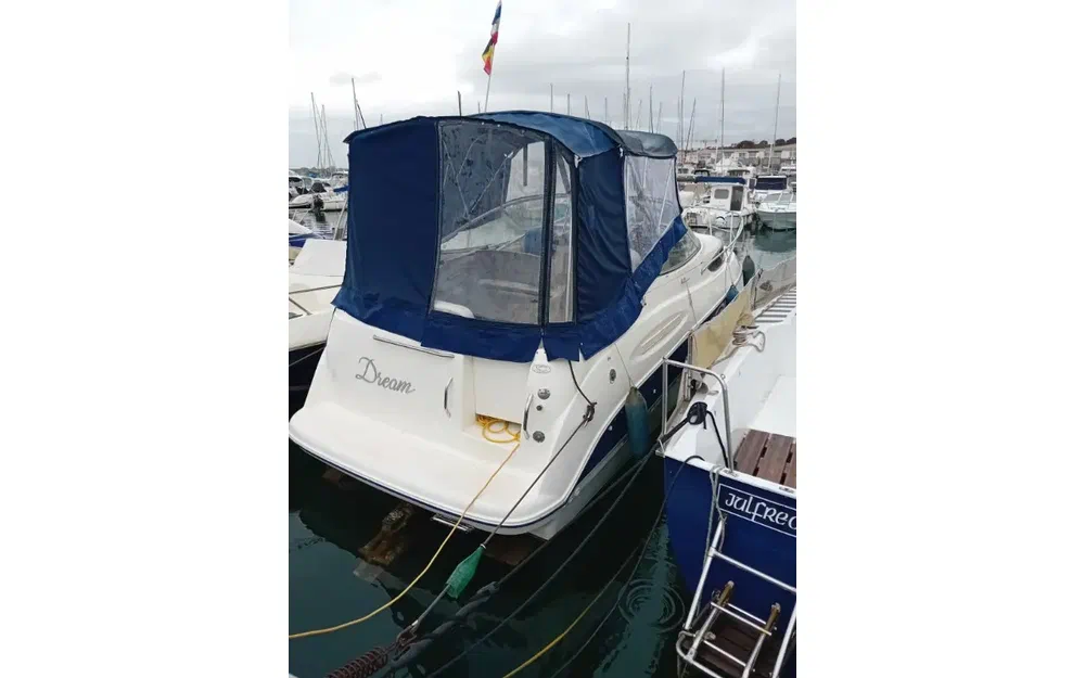Bayliner 245 gebraucht - Foto 1
