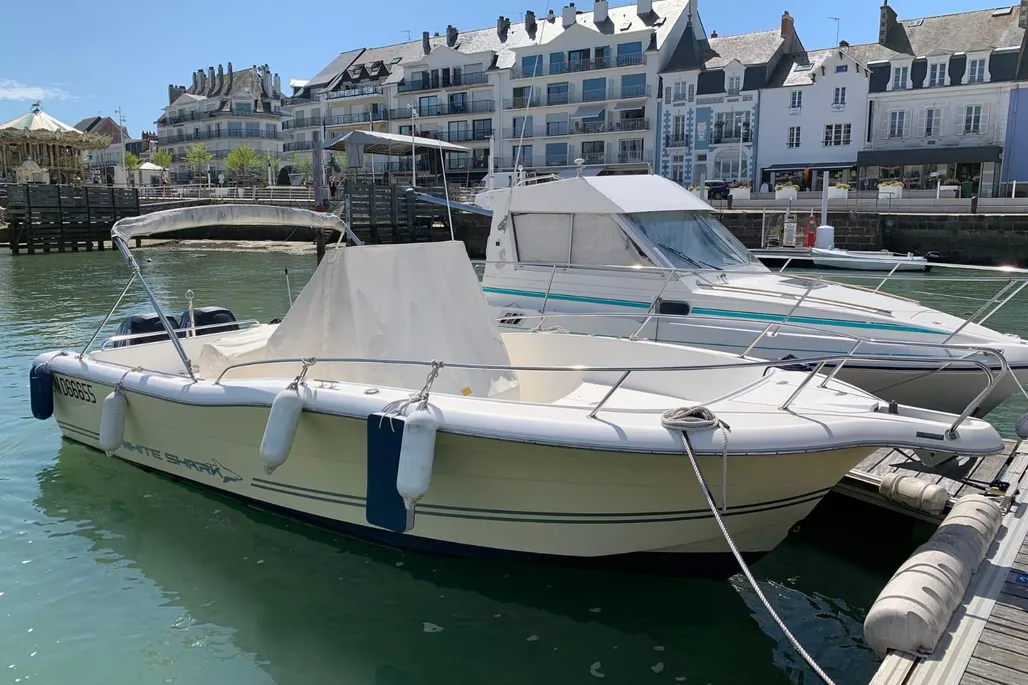 White Shark 265 d'occasion - photo 1