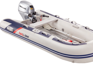 Honwave T30-AE gebraucht - Foto 1