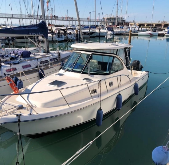 Pursuit OS 335 OFFSHORE usato - foto 1