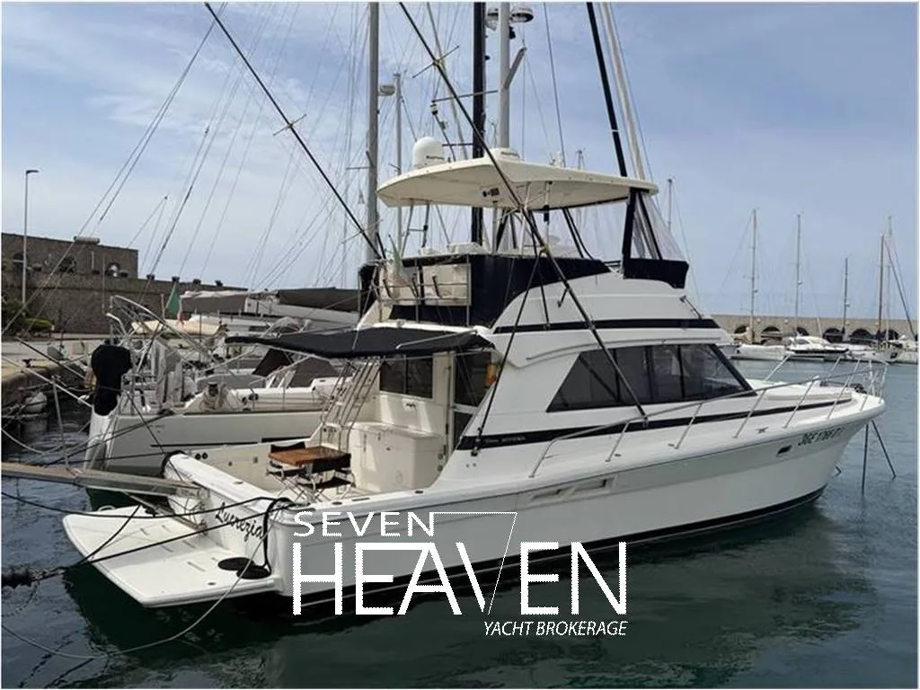 Riviera 43 used - photo 1