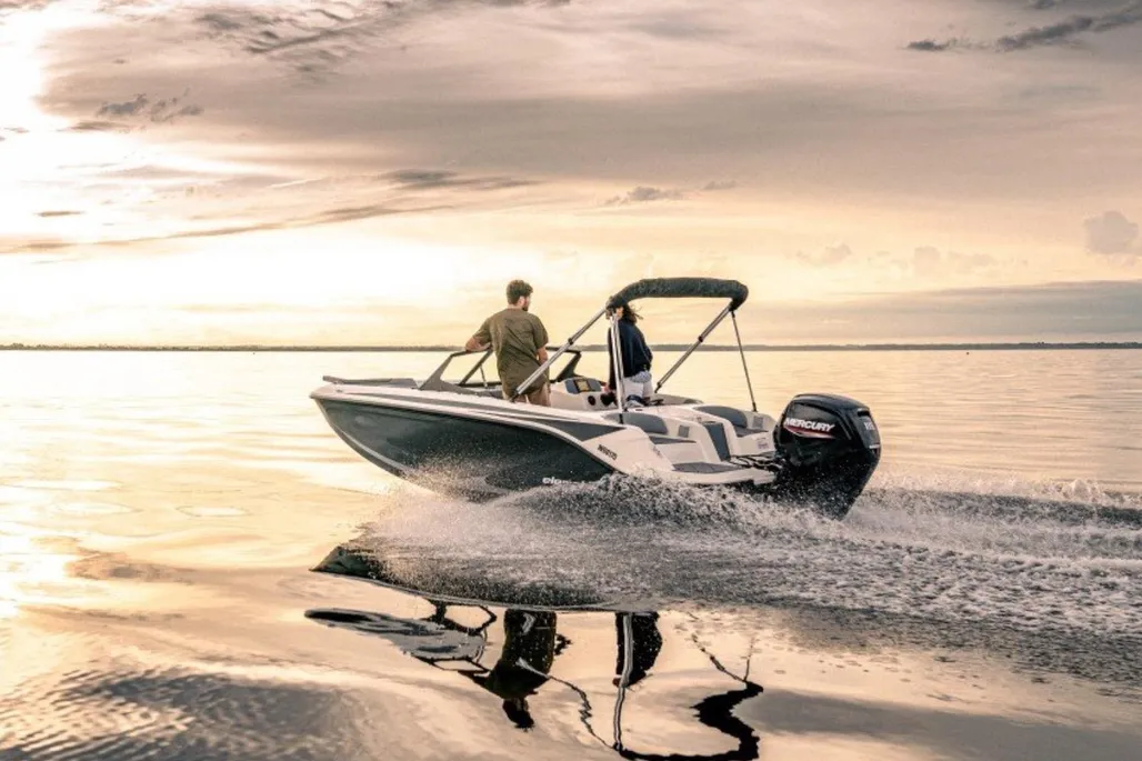 Bayliner Element M17 gebraucht - Foto 1