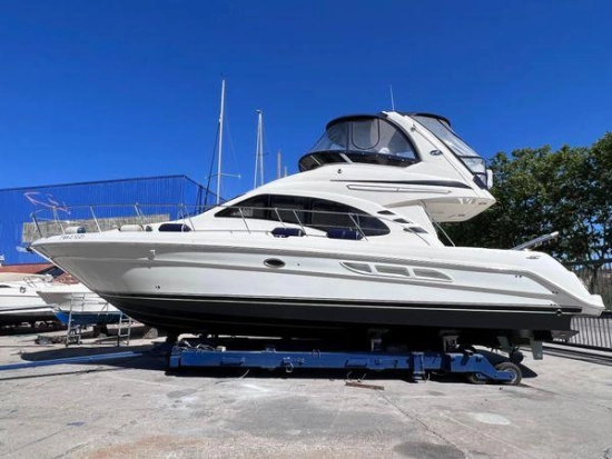 Sea Ray 455 Sedan Bridge usato - foto 1