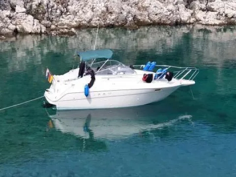 Maxum 2400 SCR usato - foto 1