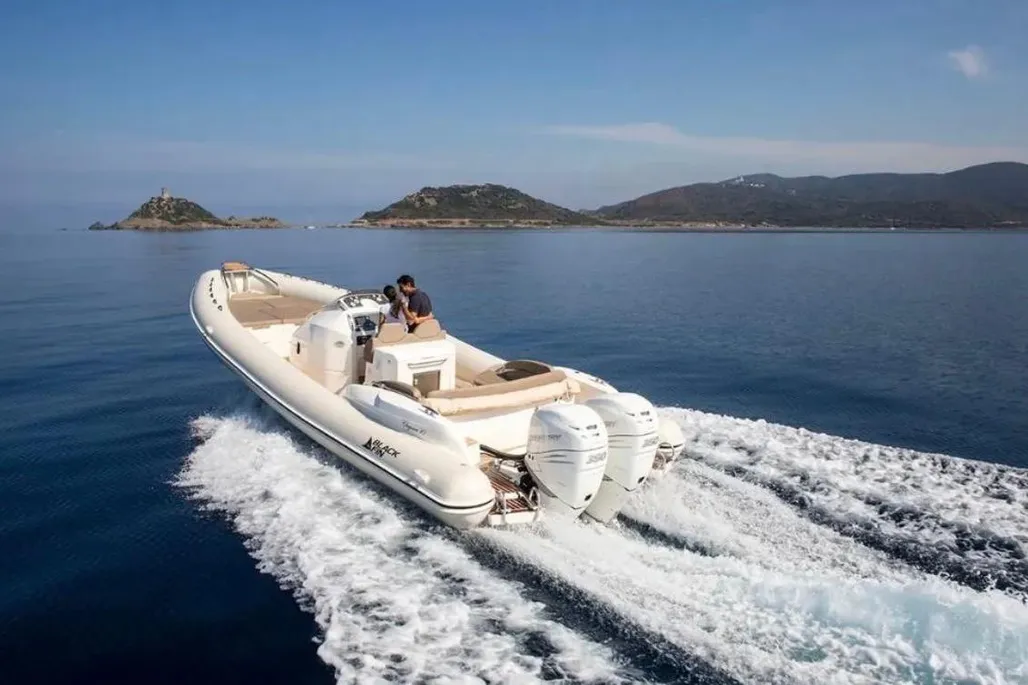 Blackfin 31 Combi d'occasion - photo 1