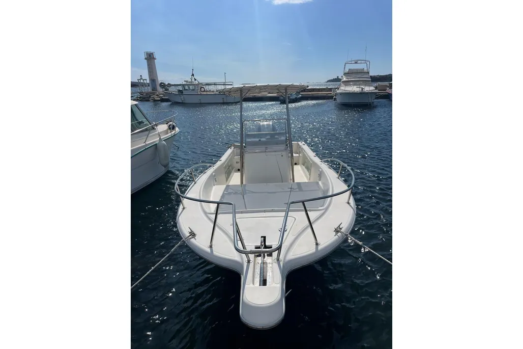 White Shark 225 d'occasion - photo 1