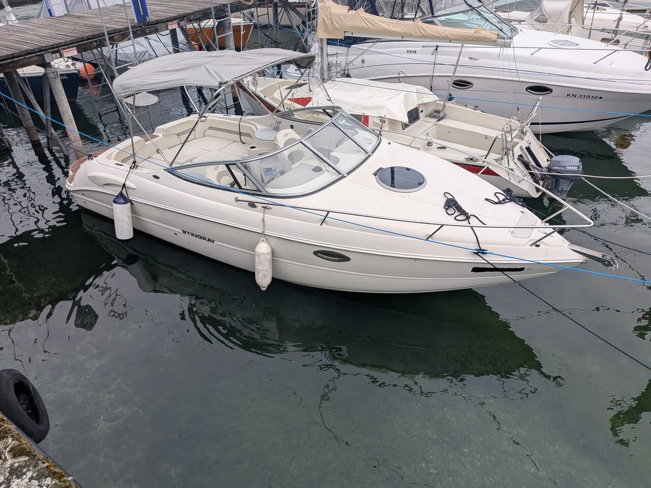 Stingray 250 CR used - photo 1