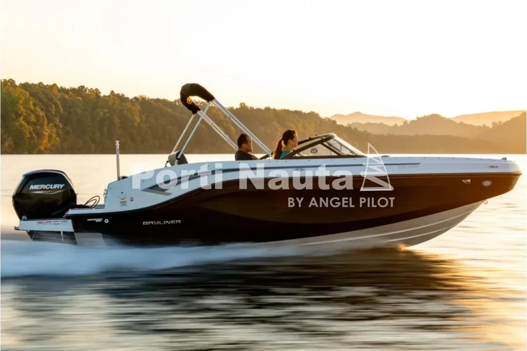 Bayliner Deck Boat DX 2000 DB gebraucht - Foto 1