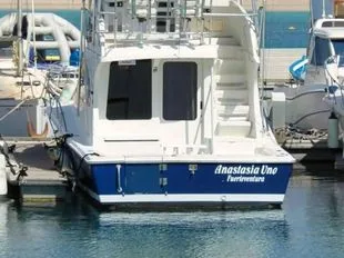 Luhrs 34 Convertible usato - foto 1