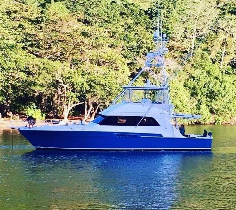 Bertram 54 SPORT FISHERMAN used - photo 1