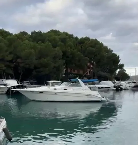 Sea Ray Sundancer 330 usato - foto 1