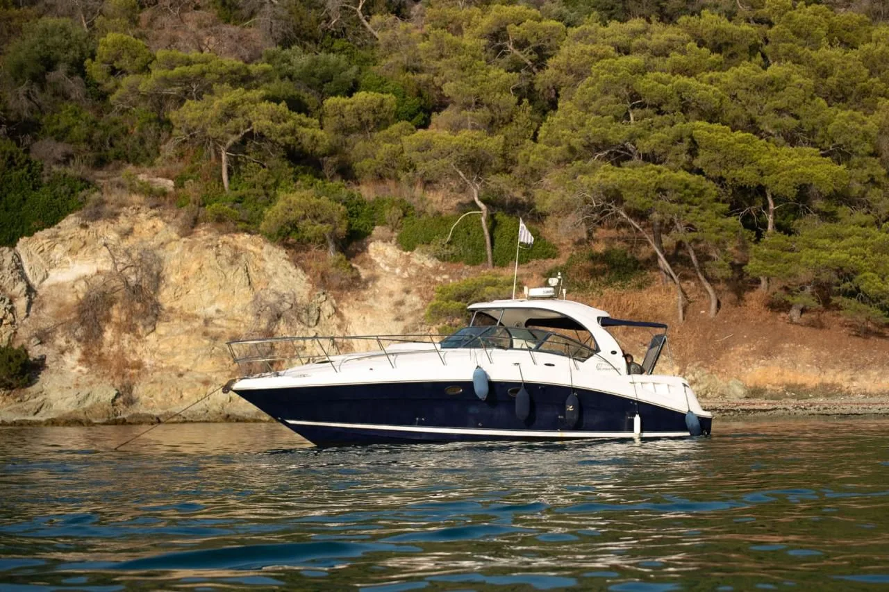 Sea Ray Sundancer 390 DA gebraucht - Foto 1