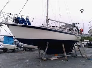 Trident Voyager 30 gebraucht - Foto 1
