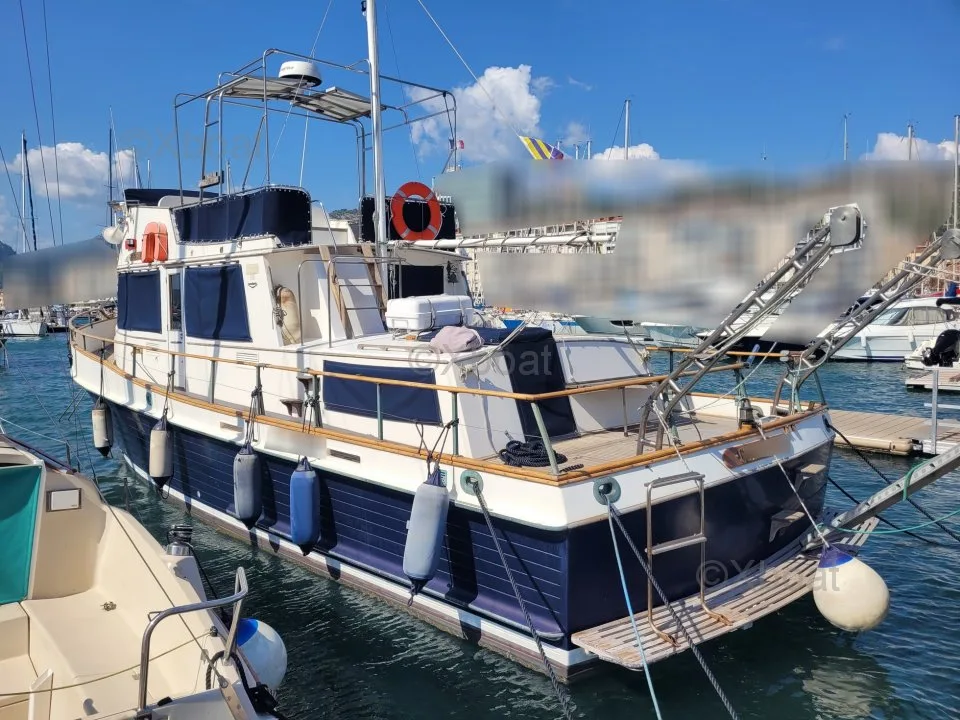 Grand Banks American Marine 42 Classic d'occasion - photo 1