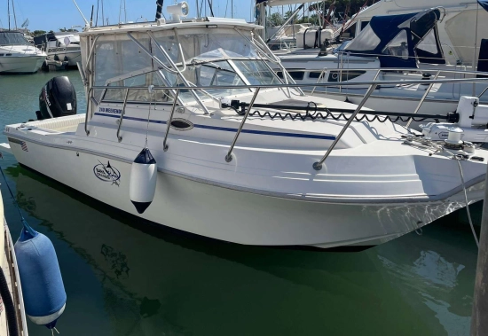 Wellcraft 250 FISHERMAN gebraucht - Foto 1