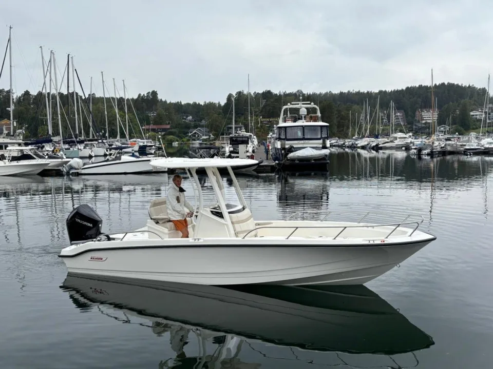 Boston Whaler 250 Dauntless used - photo 1