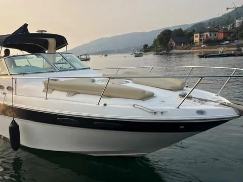 Sea Ray 310 gebraucht - Foto 1