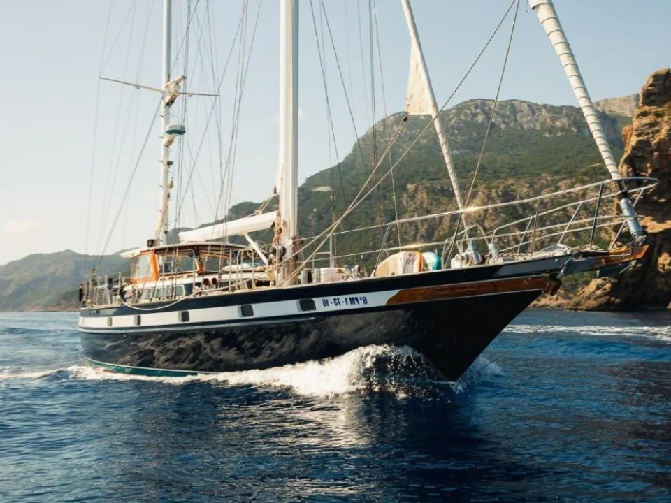 Jongert 21s used - photo 1