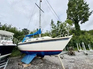 Westerly Griffon gebraucht - Foto 1